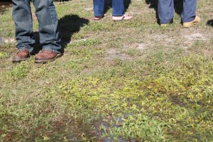 cedarbynum-matthew-015